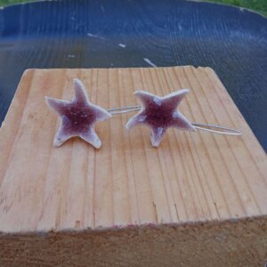 Pendientes Plata Estrella